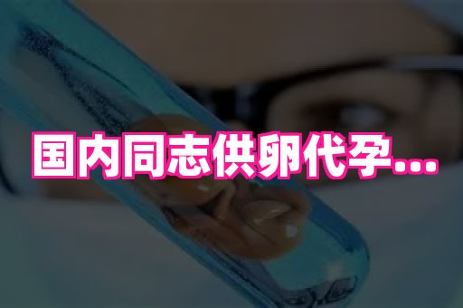 无锡助孕网 3